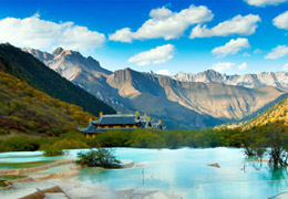 Sarah Johnson review